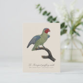 Perroquet geoffroy mannelijk / Roodwangpapegaai Briefkaart (Staand voorkant)