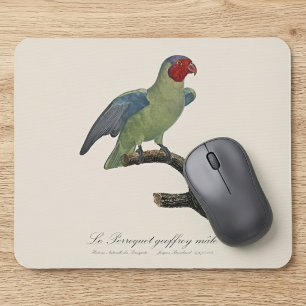 Perroquet geoffroy mannelijk / Roodwangpapegaai Muismat