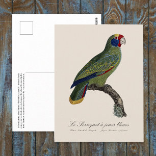 Perroquet joues blauw / roodstaartamazone briefkaart