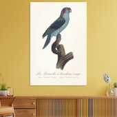 Perruche a bandeau rouge / Musk Loriket Canvas Afdruk (Insitu (Woonkamer))