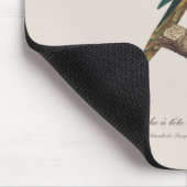 Perruche a tete bleue / Rainbow loriket, juveniel Muismat (Hoek)