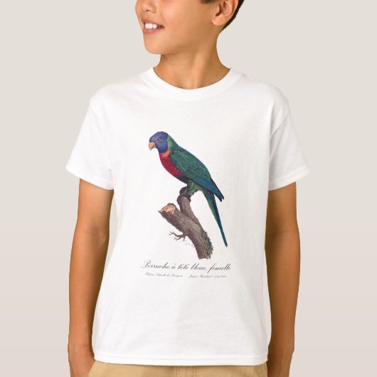 Perruche a tete bleue, vrouwelijk / regenbooglorik t-shirt (Voorkant)