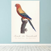 Perruche Ara, Guarouba / Zonneparkiet Canvas Afdruk (Insitu (Houten vloer))