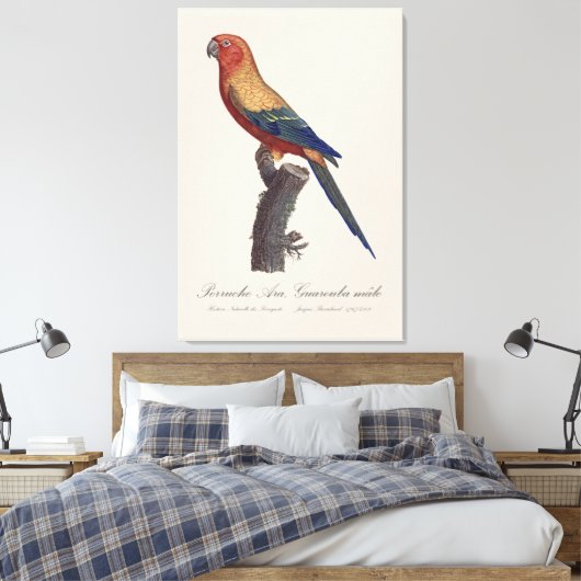 Perruche Ara, Guarouba / Zonneparkiet Canvas Afdruk (Insitu (Slaapkamer))