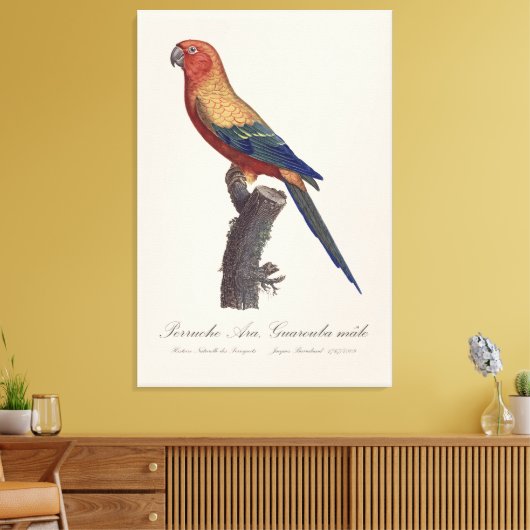 Perruche Ara, Guarouba / Zonneparkiet Canvas Afdruk (Insitu (Woonkamer))