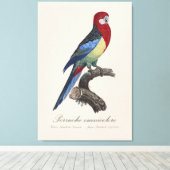 Perruche omnicolore / oostelijke rosella canvas afdruk (Insitu (Houten vloer))
