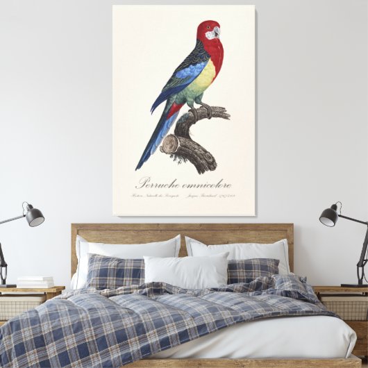 Perruche omnicolore / oostelijke rosella canvas afdruk (Insitu (Slaapkamer))
