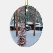 Perry Park in Winter Kerstmis Ornament (Rechts)