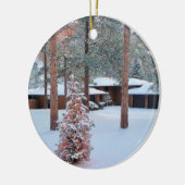 Perry Park in Winter Kerstmis Ornament (Links)