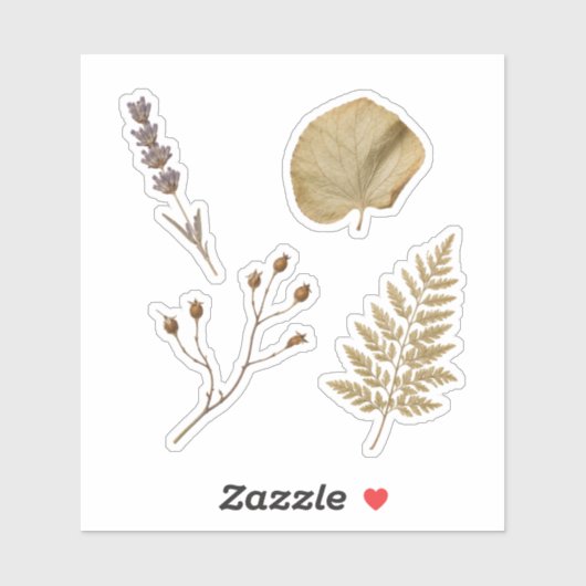 Persbotanisch exemplaar Natuurcollectie Sticker (Vel)