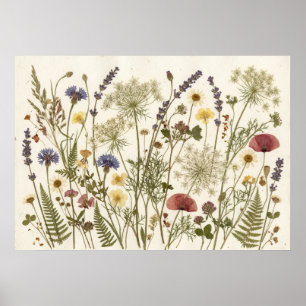 Persbotanische Kunst met Geperste Wilde Bloemen Poster
