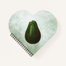 Persea Avocado Illustratie