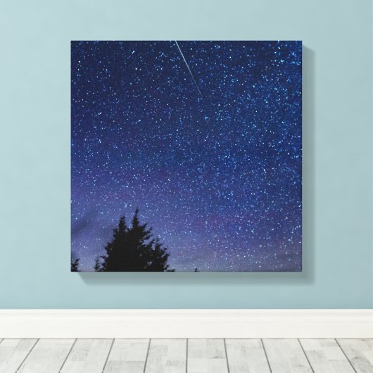 Perseid Meteor Shower Canvas Afdruk (Insitu (Houten vloer))