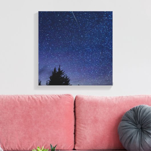 Perseid Meteor Shower Canvas Afdruk (Insitu (Woonkamer))