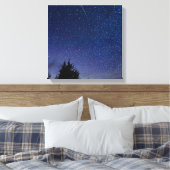 Perseid Meteor Shower Canvas Afdruk (Insitu (Slaapkamer))