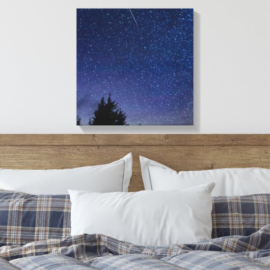 Perseid Meteor Shower Canvas Afdruk (Insitu (Slaapkamer))