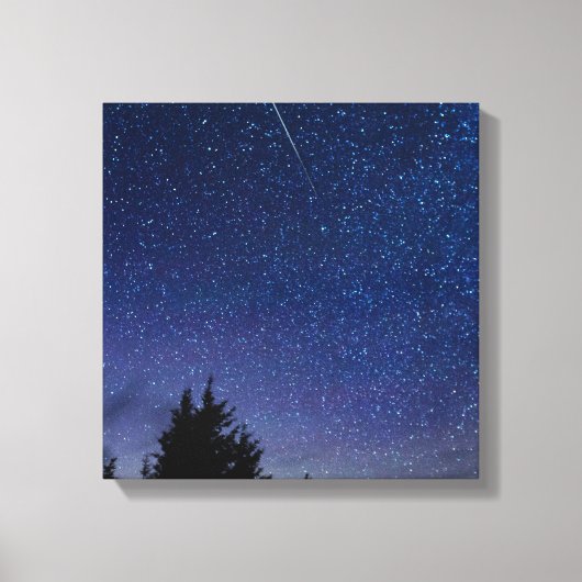 Perseid Meteor Shower Canvas Afdruk (Voorkant)