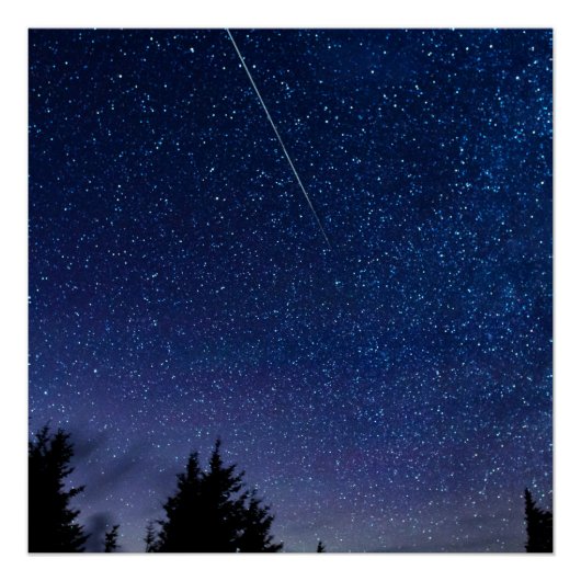 Perseid Meteor Shower Perfect Poster (Voorkant)