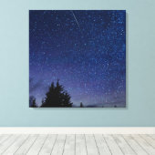 Perseïden meteorenzwerm canvas afdruk (Insitu (Houten vloer))