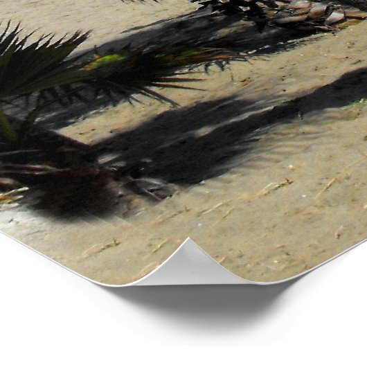 Persen en palmen op Puerto Banus Poster (Hoek)