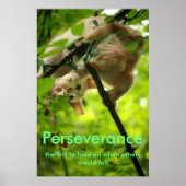 Perserverance Poster (Voorkant)