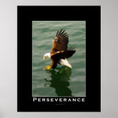 PERSEVERANCE Bald Eagle Motivatie Art Poster (Voorkant)