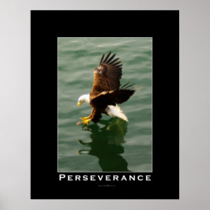 PERSEVERANCE Bald Eagle Motivatie Art Poster