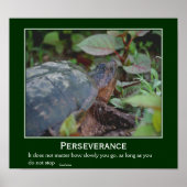 Perseverance Confucius Quote Turtle Inspirerend Poster (Voorkant)