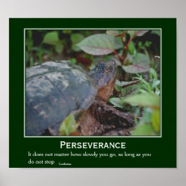 Perseverance Confucius Quote Turtle Inspirerend Poster