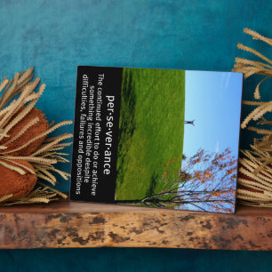 Perseverance Definitie Afbeelding Fotoplaat