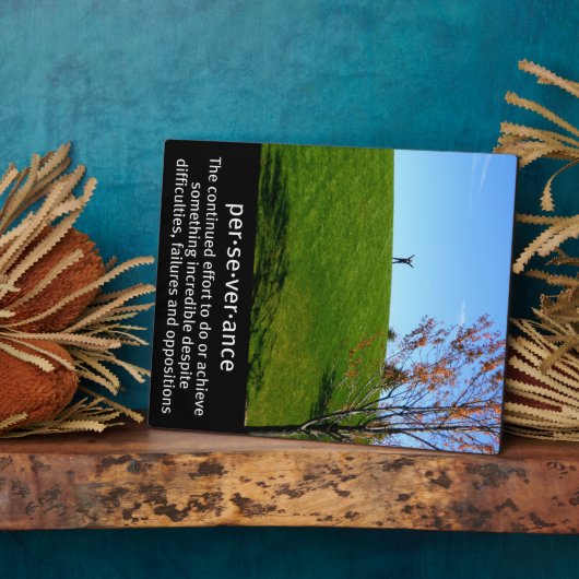 Perseverance Definitie Afbeelding Fotoplaat (Zijkant)