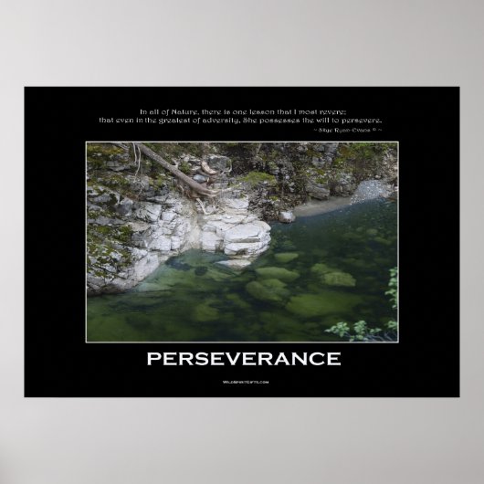 PERSEVERANCE NATUUR POSTER (Voorkant)