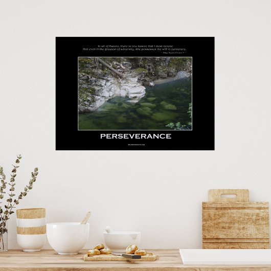 PERSEVERANCE NATUUR POSTER (Keuken)