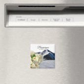 Perseverantie Magnet (Insitu (Vaatwasser))