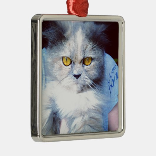 persian cat 5 metalen ornament (Rechts)
