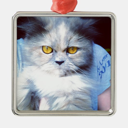 persian cat 5 metalen ornament (Voorkant)