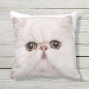 PERSIAN CAT FACE FOCUS BUITENKUSSEN