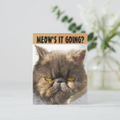 PERSIAN CAT FUNNY BRIEFKAART (Staand voorkant)