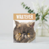 PERSIAN CAT FUNNY GRUMPY BRIEFKAART (Staand voorkant)