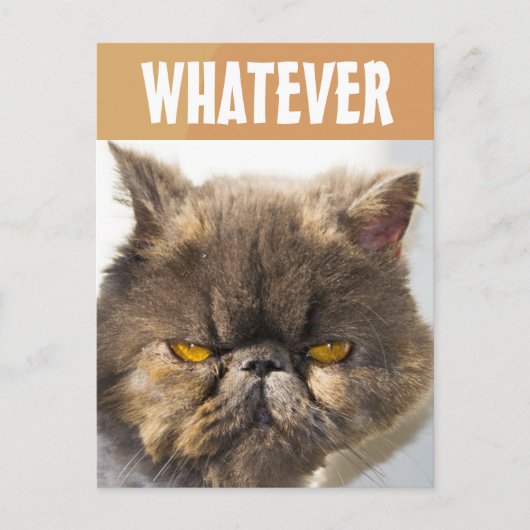 PERSIAN CAT FUNNY GRUMPY BRIEFKAART (Voorkant)