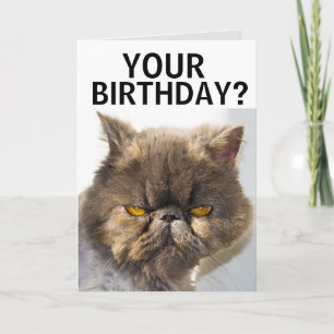 PERSIAN CAT FUNNY VERJAARDAG KAART