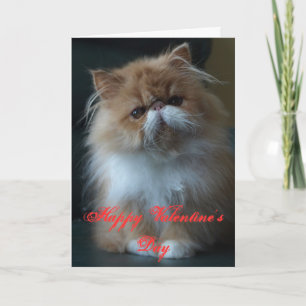 Persian Cat Happy Valentine's Day Feestdagen Kaart