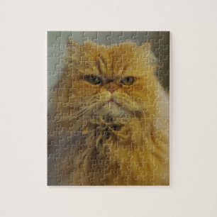 Persian Cat Jigzaag Puzzle Legpuzzel