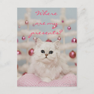 Persian cat sitting on pink pillow briefkaart