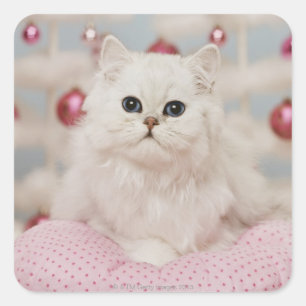 Persian cat sitting on pink pillow vierkante sticker