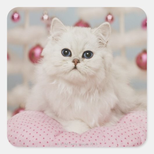 Persian cat sitting on pink pillow vierkante sticker (Voorkant)