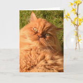 PERSIAN GINGER CAT-FUNNY BIRTHDAY-KAART KAART (Gele Bloem)
