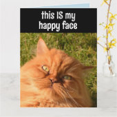 PERSIAN GINGER CAT FUNNY HAPPY FACE BIRTHDAY CARD KAART (Gele Bloem)
