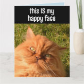 PERSIAN GINGER CAT FUNNY HAPPY FACE BIRTHDAY CARD KAART (Voorkant)