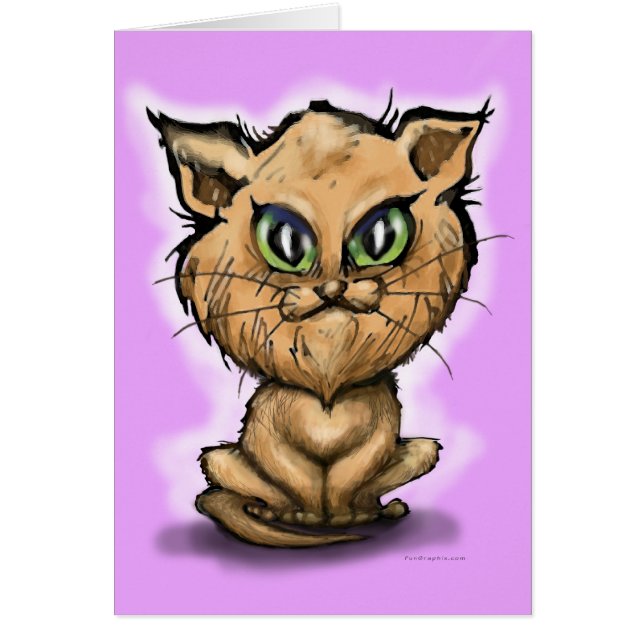 Persian Kitten (Voorkant)